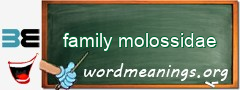 WordMeaning blackboard for family molossidae